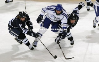 九游体育登录入口-VP受邀震中杯 俄罗斯白熊主场回归战力全开